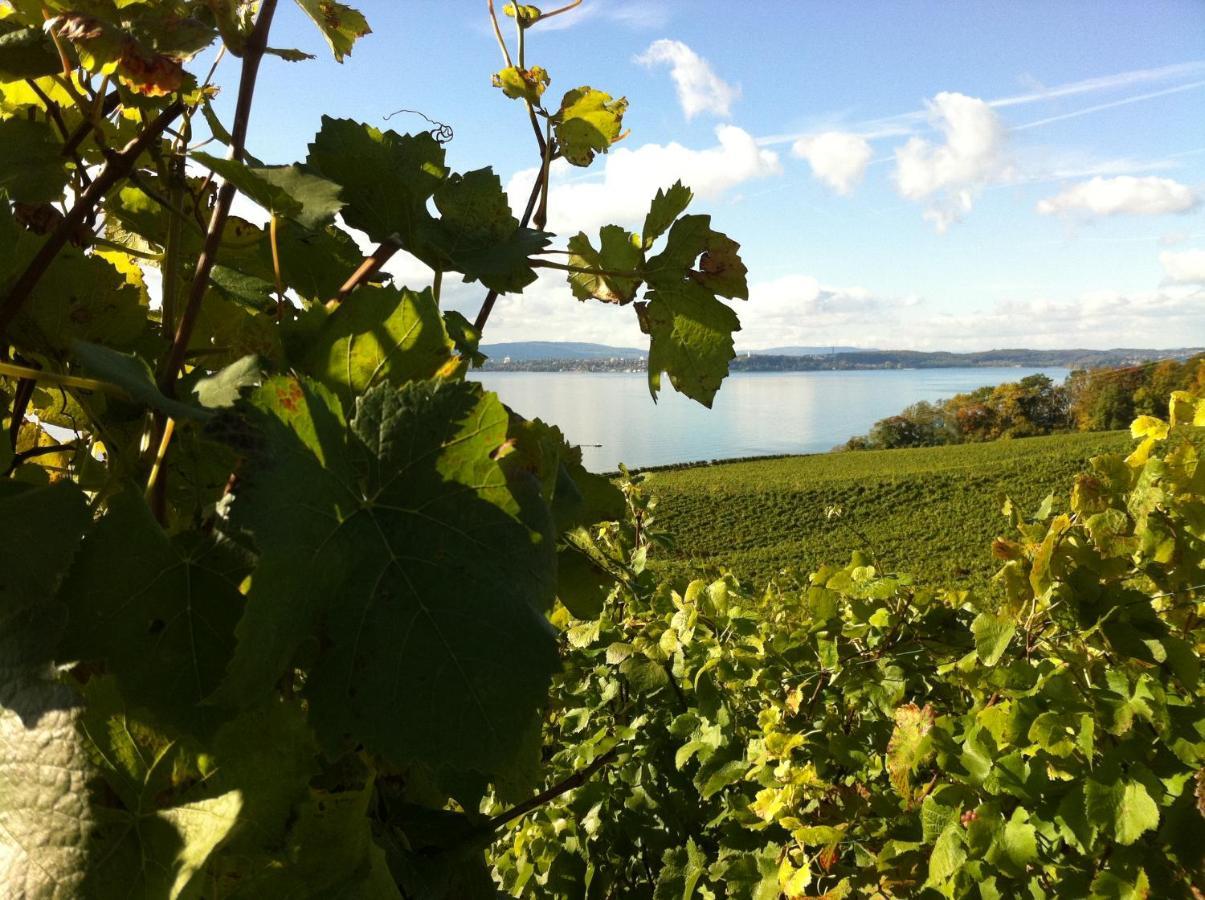 Alte Post Meersburg Esterno foto